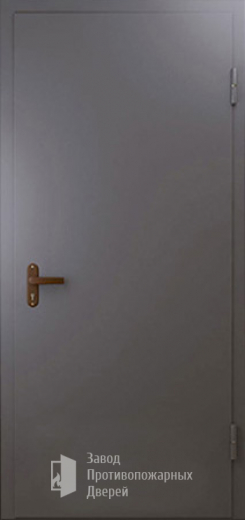 Фото двери «Техническая дверь №1 однопольная» в Красногорску