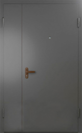 Фото двери «Техническая дверь №6 полуторная» в Красногорску